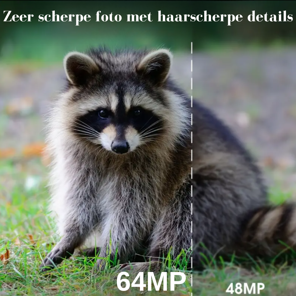 Wildcamera v1