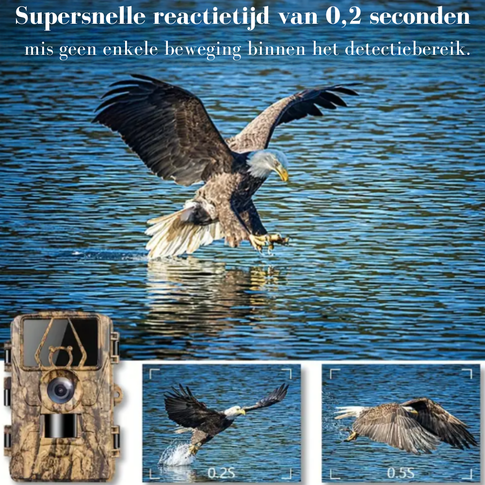 wildcamera v3