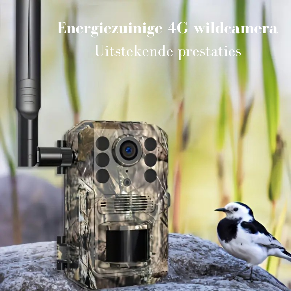 Wildcamera v4