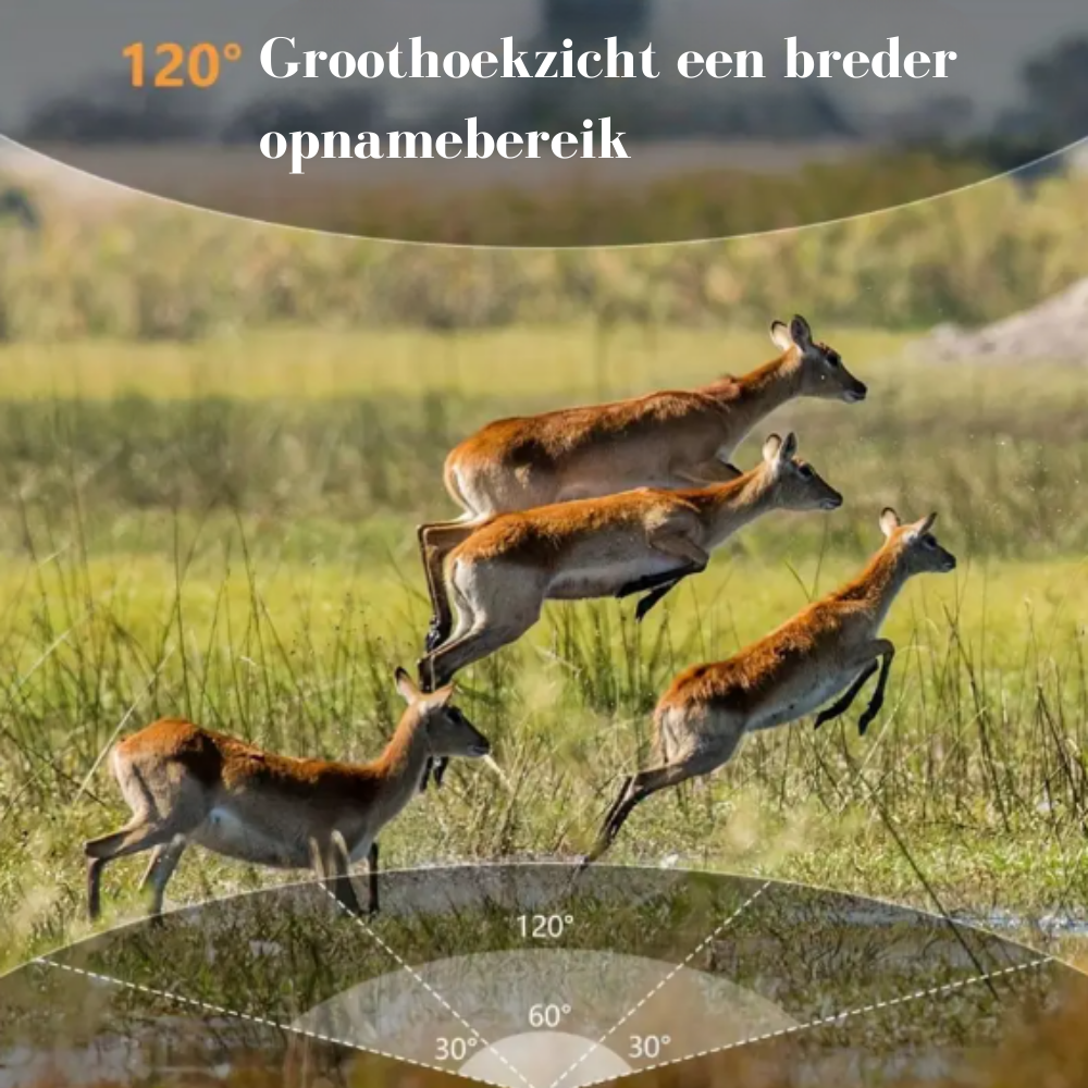 wildcamera v3