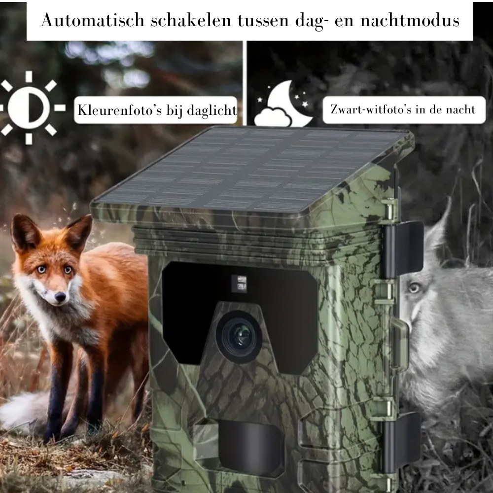 Wildcamera v2