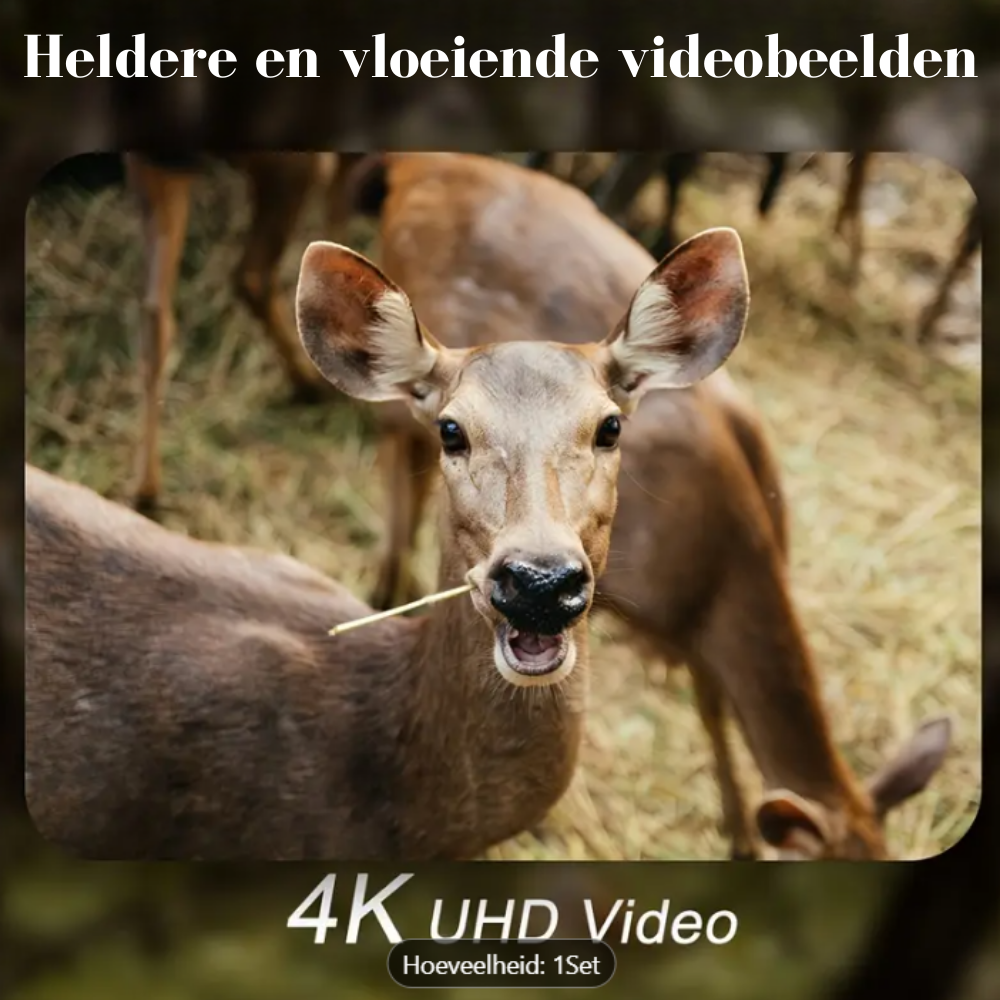 Wildcamera v2
