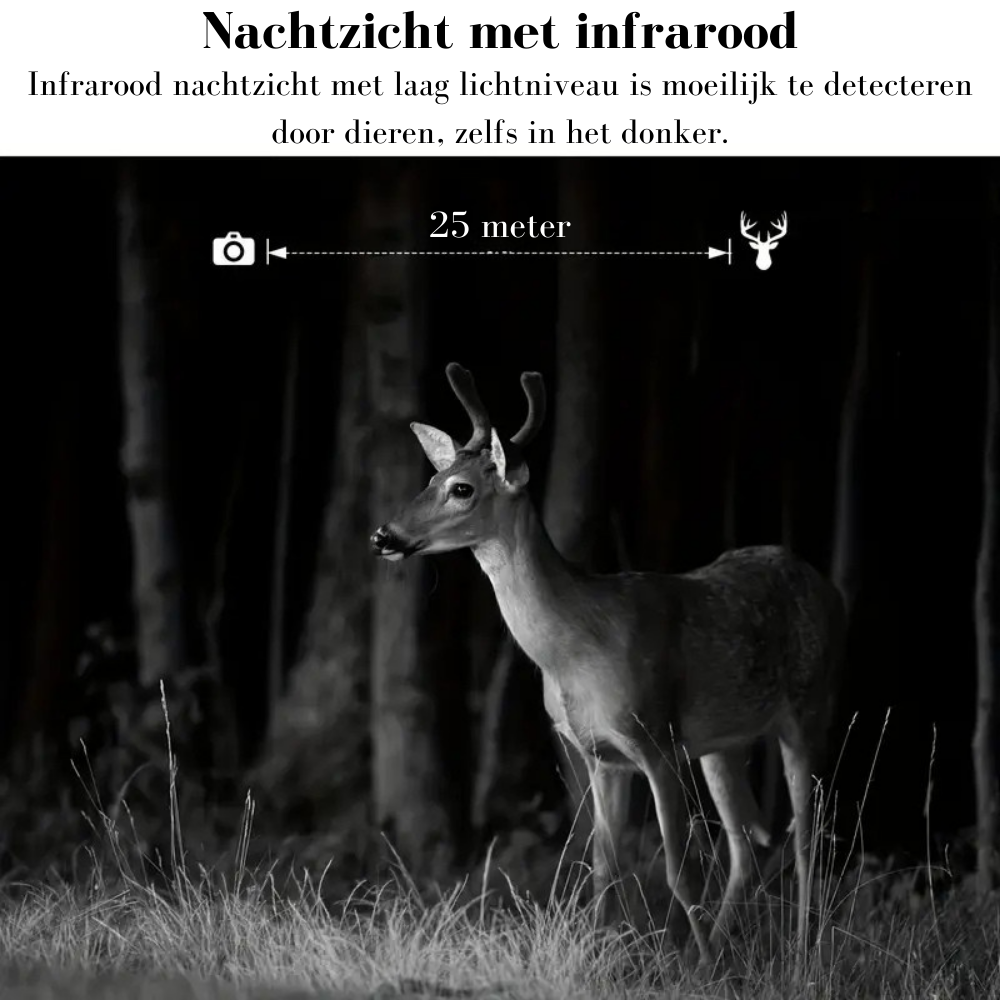 Wildcamera v5 - 1 pack