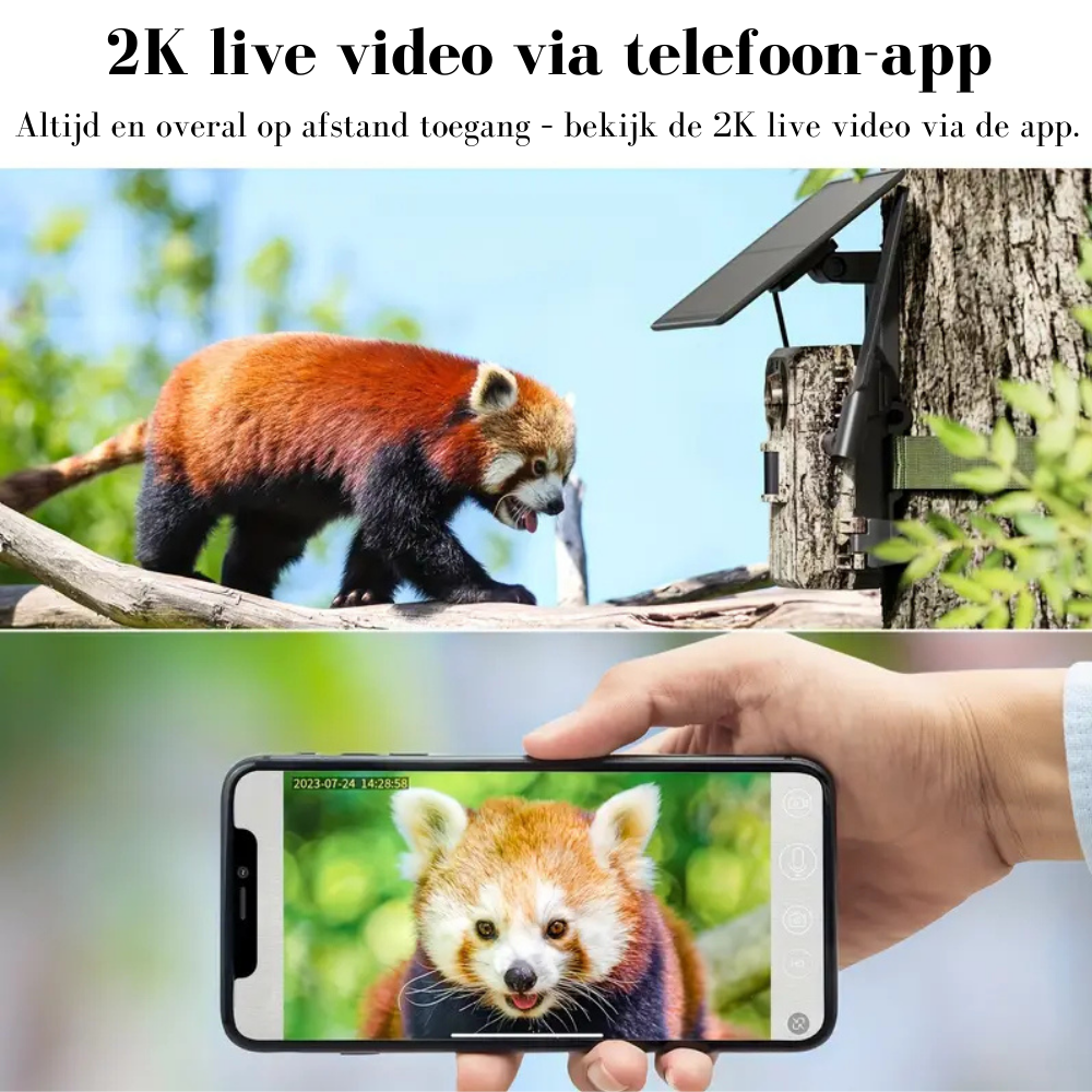 Wildcamera v5 - 1 pack