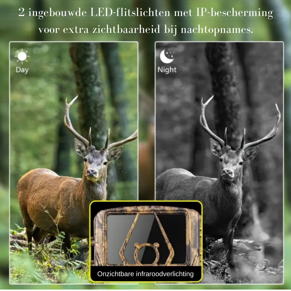 wildcamera v3