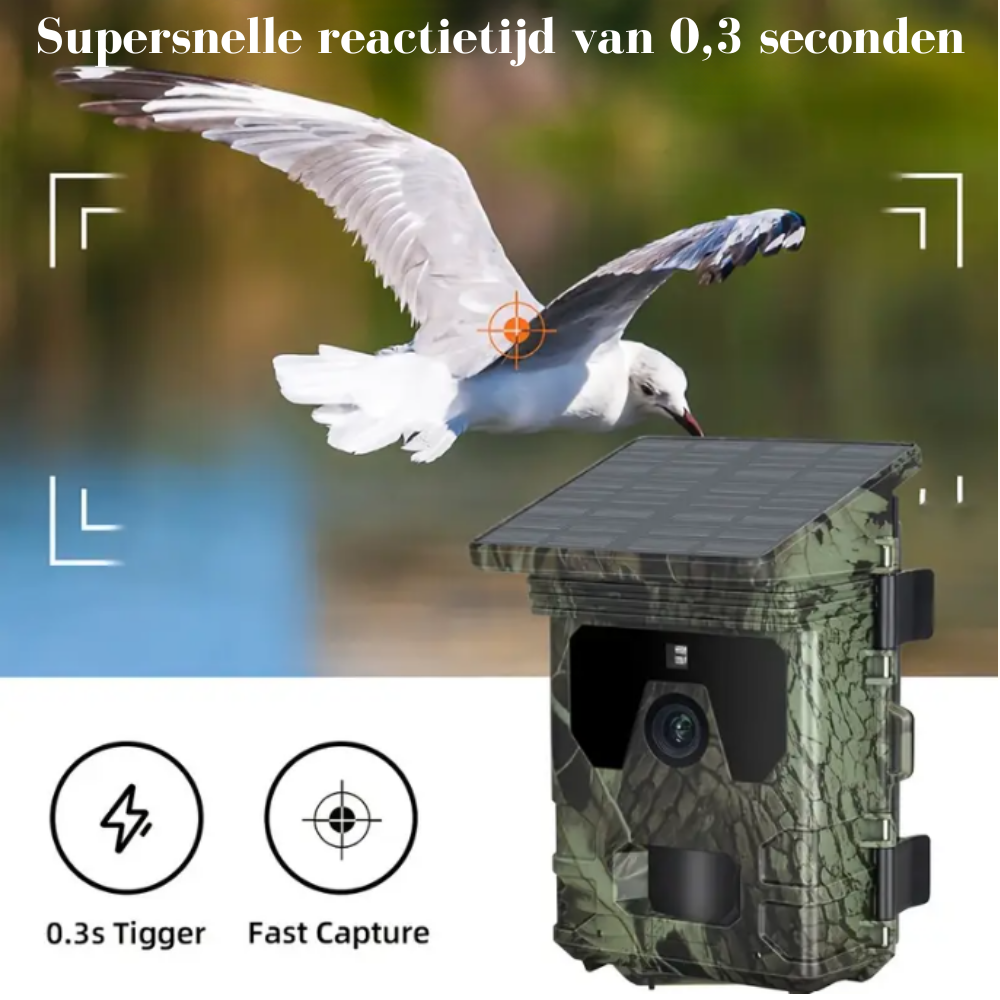 Wildcamera v2