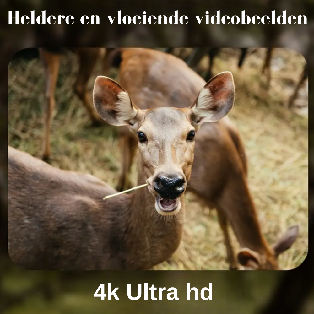 Wildcamera v1