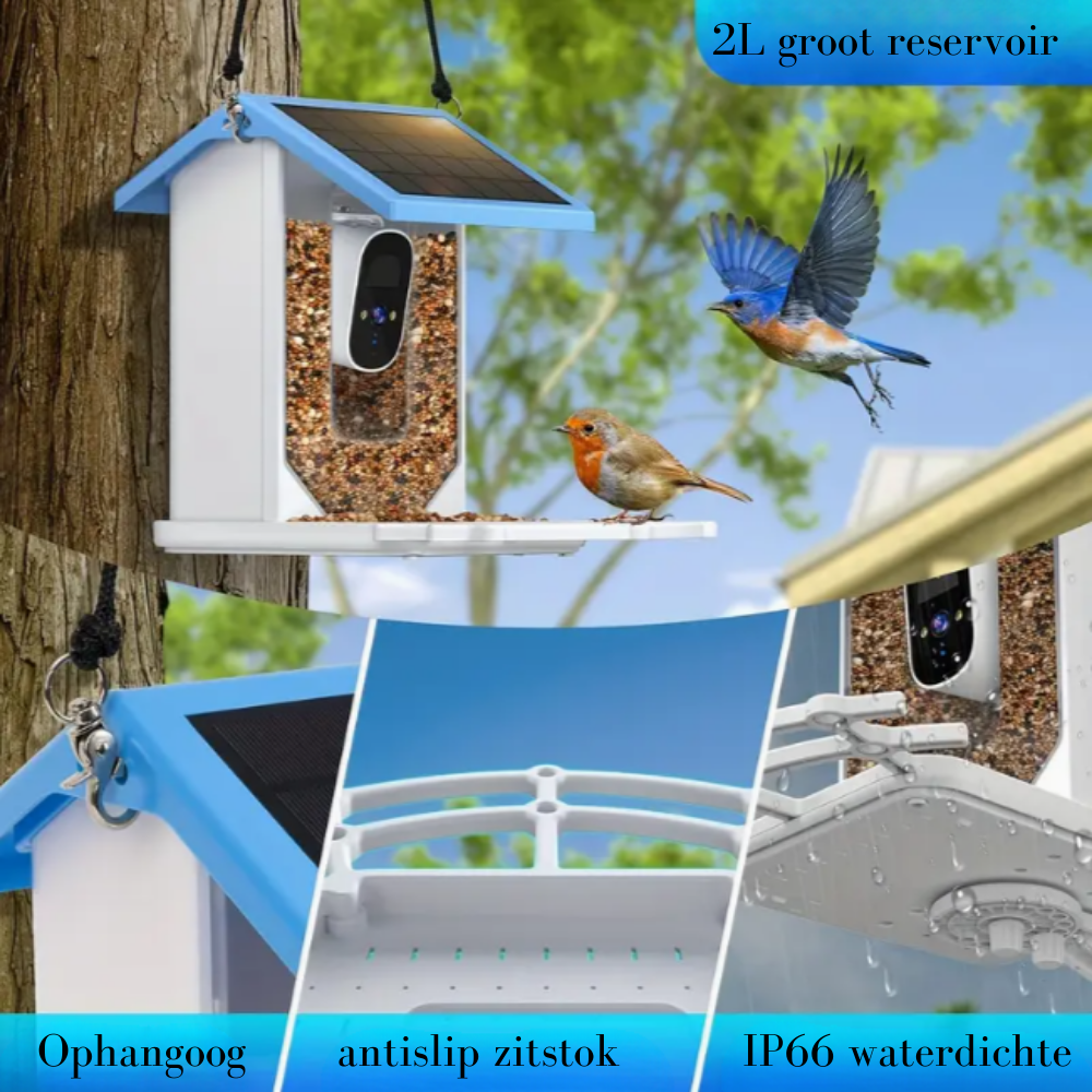 Vogelhuis met camera - AI