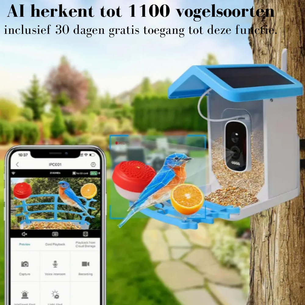 Vogelhuis met camera - AI